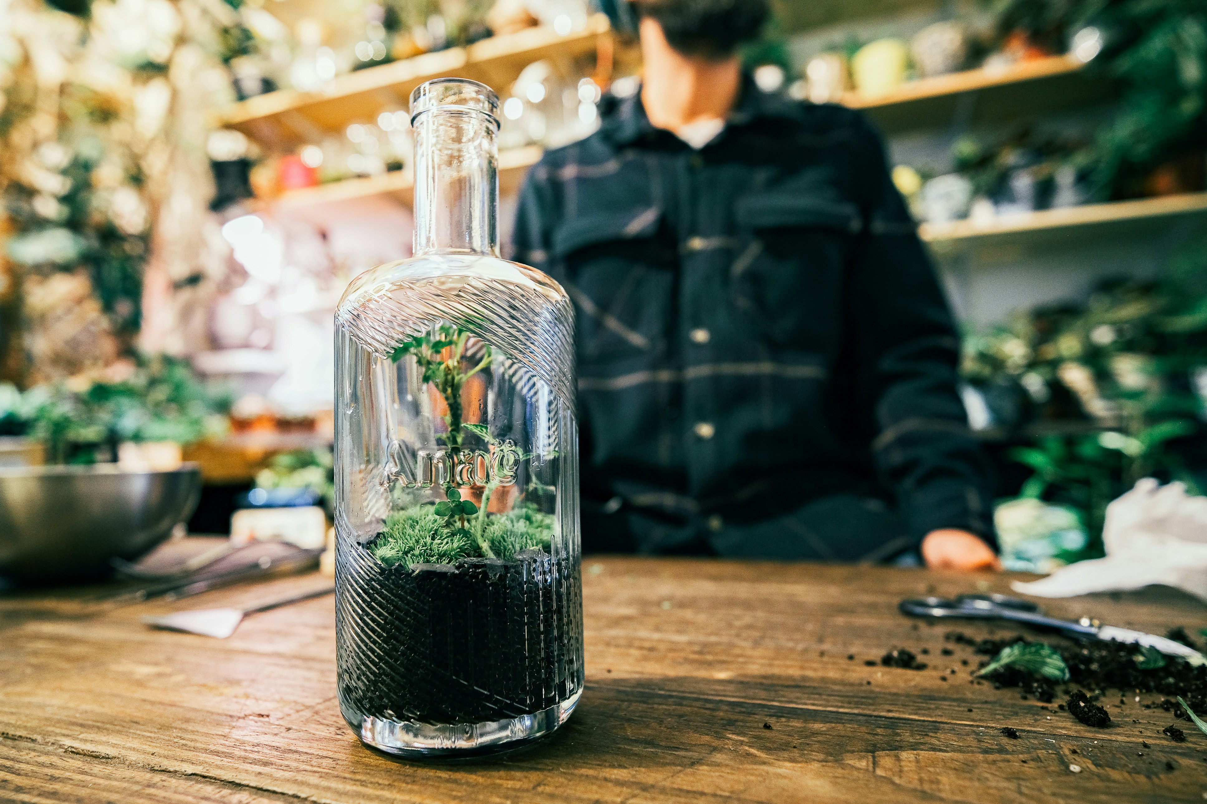 DIY glass plant project